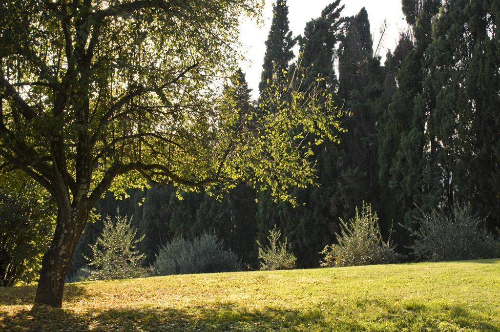 Villa Montaperti Monteaperti  Номер фото